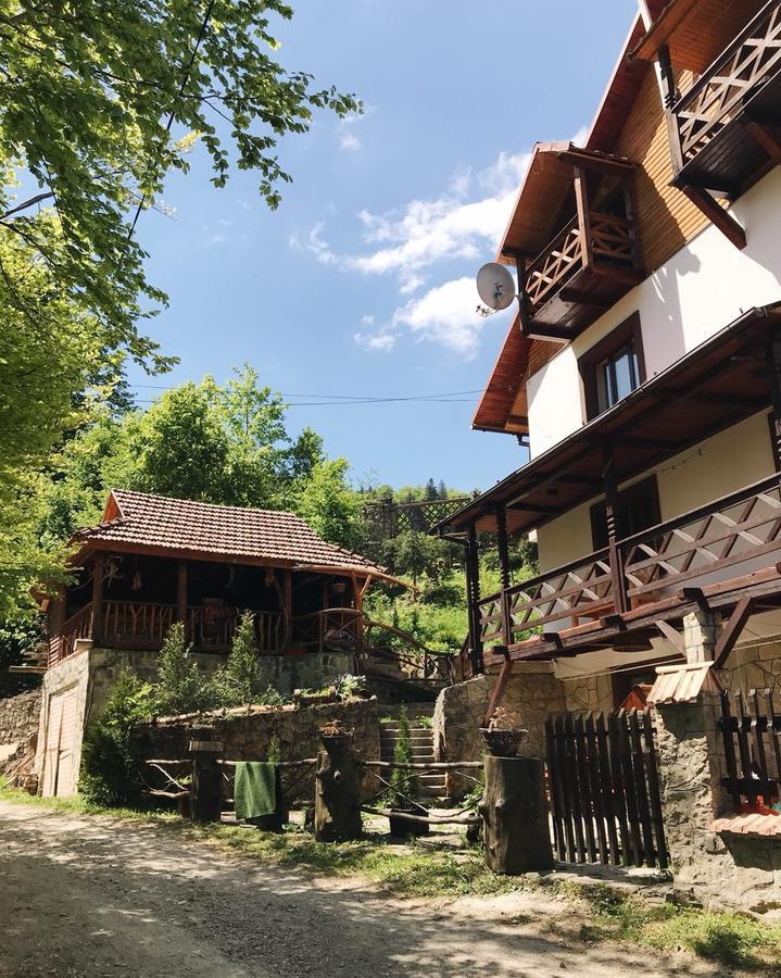 Vatra Hotel Jaremtsje Buitenkant foto